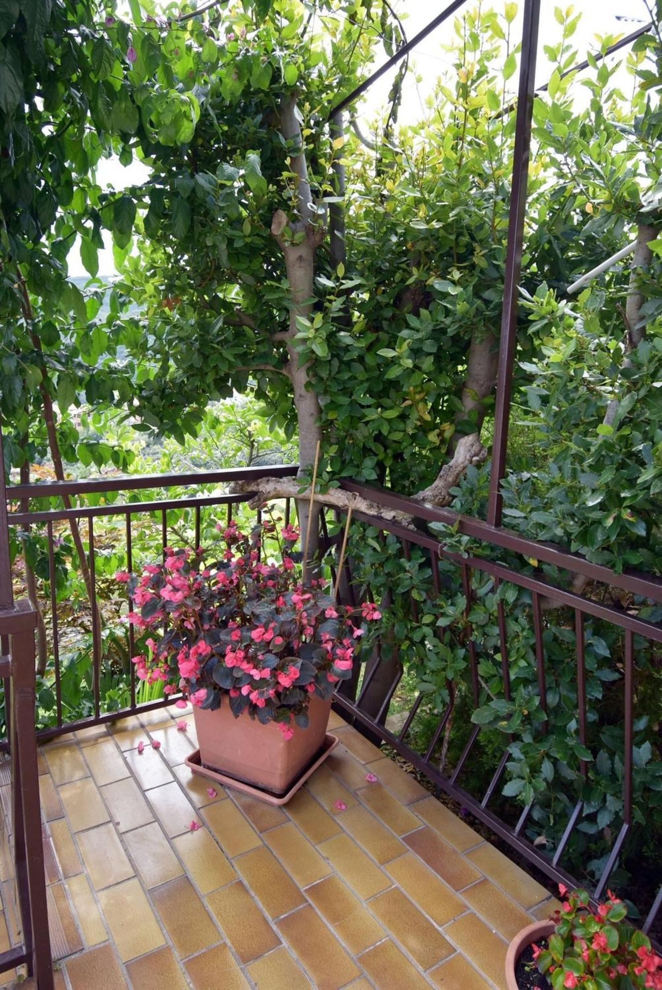 Apartment Neda In Rabac With Bay View Экстерьер фото